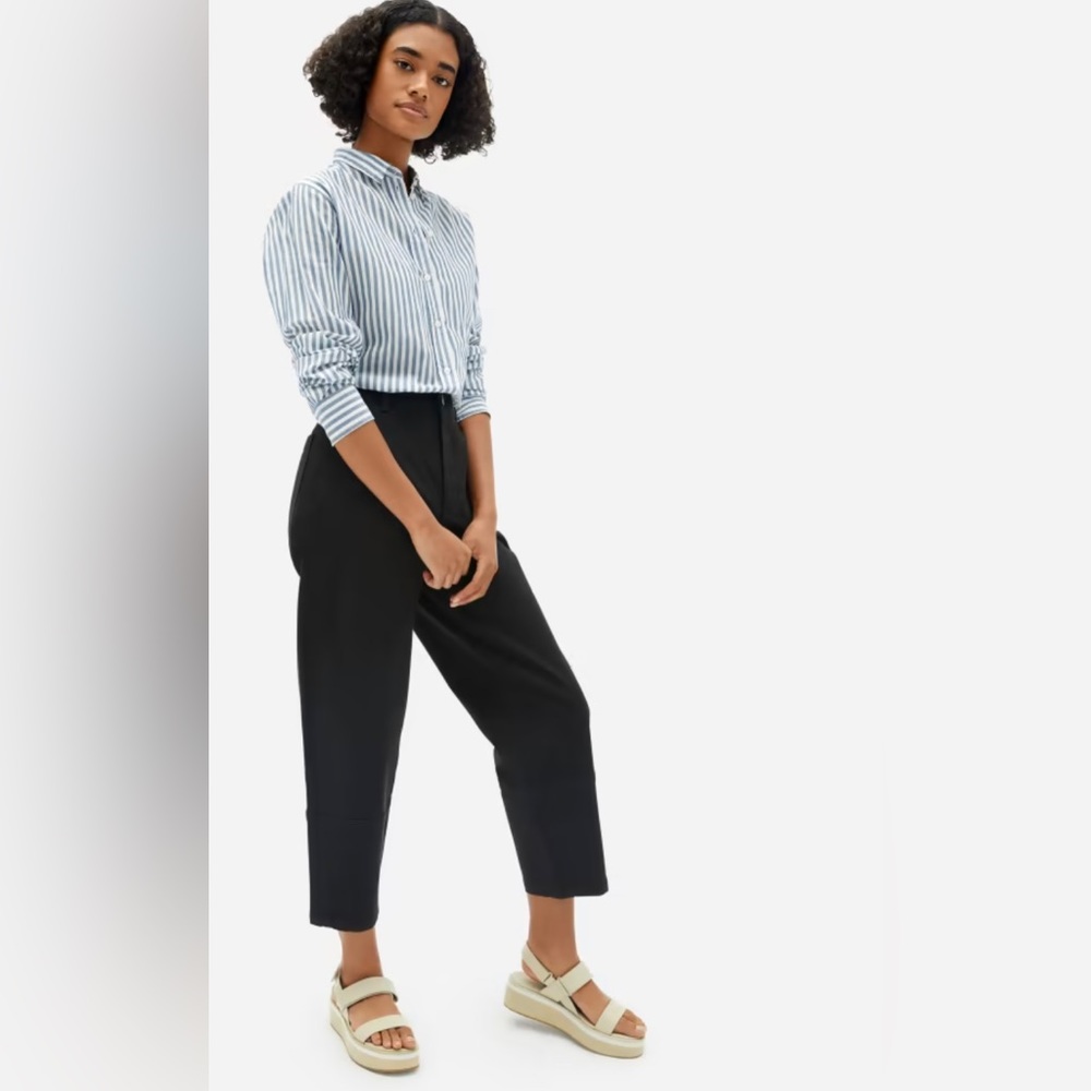 Everlane The Utility Barrel Pant